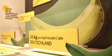 Neue Ausstellungen in Bamberg starten ins Frühjahr 13 Die Banane ist das Objekt um das sich in der Sonderaustellung 'BananaRama' im Naturkundemuseum in Bamberg ab 31. März 2026 alles dreht. Quelle: RS-GmbH