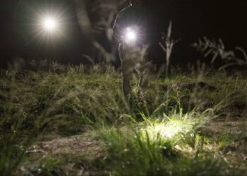 Vermisste Seniorin aus Memmelsdorf dank Drohneneinsatz gerettet 14 Symbolbild. Quelle: shutterstock - PeopleImages