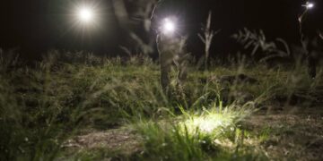 Vermisste Seniorin aus Memmelsdorf dank Drohneneinsatz gerettet 1 Symbolbild. Quelle: shutterstock - PeopleImages