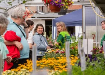 Die Besucherinnen und Besucher können wieder
entspannt durch die Gewächshäuer und über die Freiflächen flanieren.  Quelle: Stiftung Weltkulturerbe Bamberg, Lara Müller