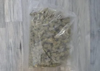 Schlag gegen den Rauschgifthandel in Bamberg 19 Sichergestelltes Marihuana © Polizei Oberfranken