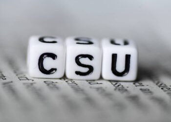 Neuausrichtung in der CSU Bamberg 17 Symbolbild. Quelle: shutterstock - knipsdesign