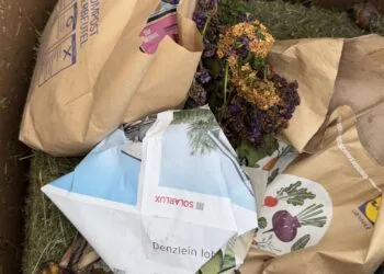 Tag der Biotonne: Warum Plastik im Biomüll nichts verloren hat 11 Am 26. Mai ist der Tag der Biotonne. Quelle: Stadt Bamberg, Melina Auer