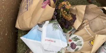 Tag der Biotonne: Warum Plastik im Biomüll nichts verloren hat 13 Am 26. Mai ist der Tag der Biotonne. Quelle: Stadt Bamberg, Melina Auer