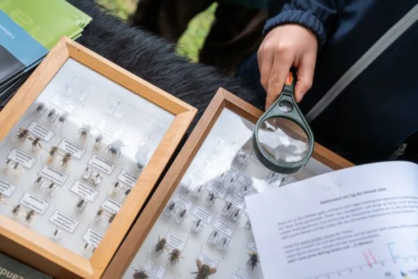 Großer Andrang beim Tag der Umwelt auf der Jahnwiese 11 Großer Andrang beim Tag der Umwelt auf der Jahnwiese 1