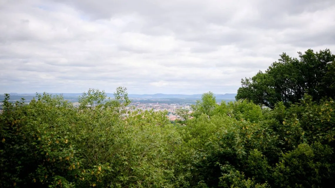 Blick durch den Altenburger Wald: Zwischen den Bäumen öffnet sich
die Sicht auf Bamberg und die umliegende Landschaft. Im Rahmen
des Projekts sollen historische Sichtachsen zur Altenburg schrittweise
wiederhergestellt und zugleich wertvolle Lebensräume für seltene
Tier- und Pflanzenarten erhalten und entwickelt werden. Quelle: Sonja Seufferth