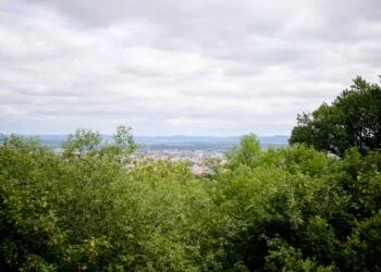 Weltkulturerbe trifft Waldkulturerbe: Altenburger Wald wird neu entdeckt 19 Blick durch den Altenburger Wald: Zwischen den Bäumen öffnet sich
die Sicht auf Bamberg und die umliegende Landschaft. Im Rahmen
des Projekts sollen historische Sichtachsen zur Altenburg schrittweise
wiederhergestellt und zugleich wertvolle Lebensräume für seltene
Tier- und Pflanzenarten erhalten und entwickelt werden. Quelle: Sonja Seufferth