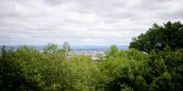 Weltkulturerbe trifft Waldkulturerbe: Altenburger Wald wird neu entdeckt 12 Blick durch den Altenburger Wald: Zwischen den Bäumen öffnet sich
die Sicht auf Bamberg und die umliegende Landschaft. Im Rahmen
des Projekts sollen historische Sichtachsen zur Altenburg schrittweise
wiederhergestellt und zugleich wertvolle Lebensräume für seltene
Tier- und Pflanzenarten erhalten und entwickelt werden. Quelle: Sonja Seufferth
