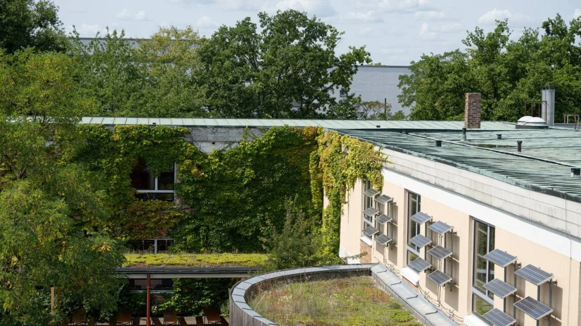 Dach- und Fassadenbegrünung des DG
Quelle: © Nadine Gumpert, Stadt Bamberg