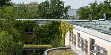 Förderprogramm für Gebäudebegrünung in Bamberg startet erneut 15 Dach- und Fassadenbegrünung des DG
Quelle: © Nadine Gumpert, Stadt Bamberg