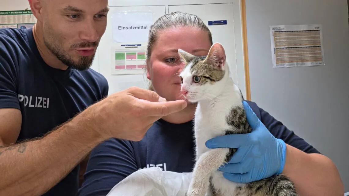 Ausgesetzte Katze am Bamberger Bahnhof entdeckt 10 Quelle: Bundespolizeiinspektion Würzburg