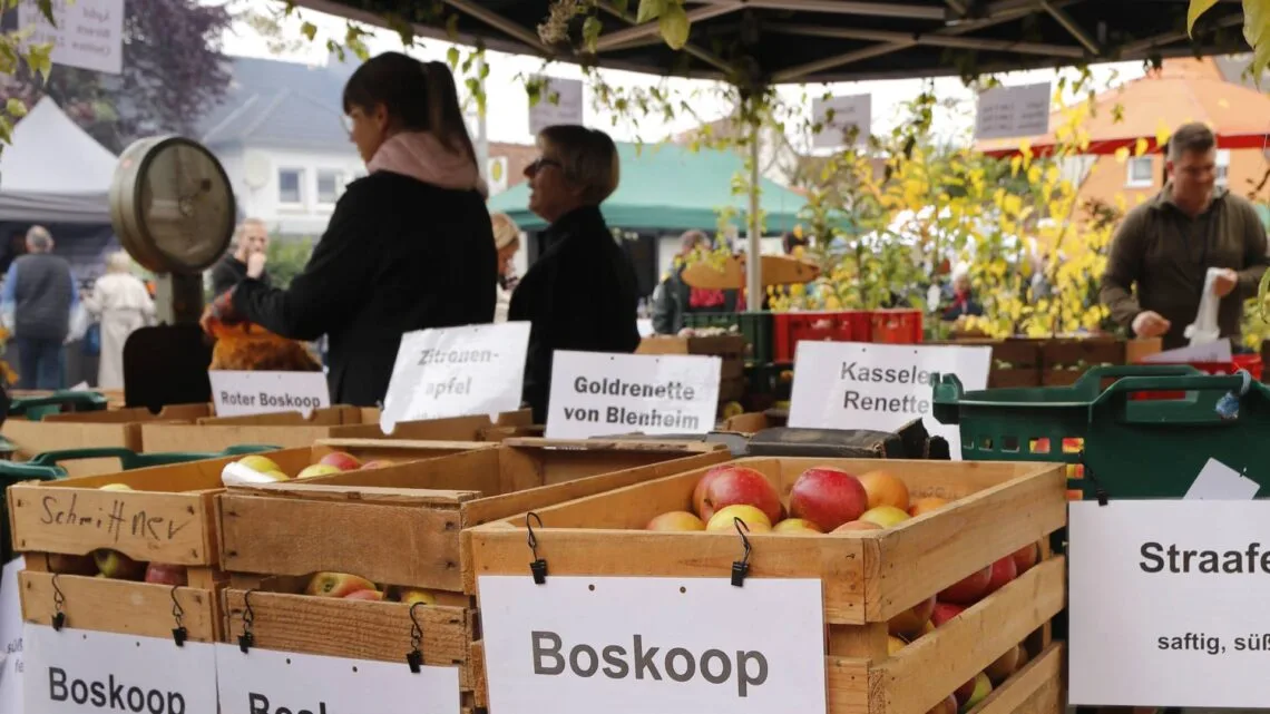 Obststand Jubiläums-Apfelmarkt Zapfendorf 2025 (Quelle: Landratsamt Bamberg / Klemisch)