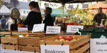 Regional, saisonal, lecker: Apfelmarkt in Schönbrunn 14 Obststand Jubiläums-Apfelmarkt Zapfendorf 2025 (Quelle: Landratsamt Bamberg / Klemisch)
